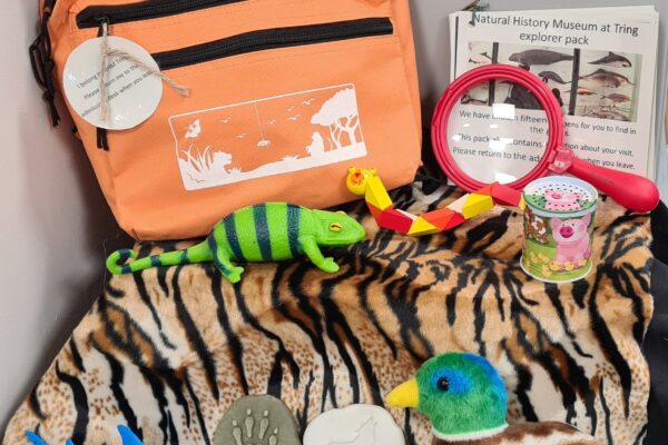 Orange rucksack with variety of sensory toys, a magnifying glass and a soft toy duck sit on a tiger print faux fur cloth.